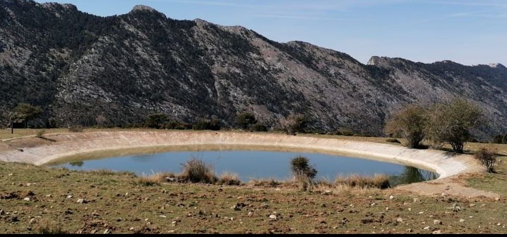 Estudi sobre els estanys de muntanya: les basses de la Serra de Boumort